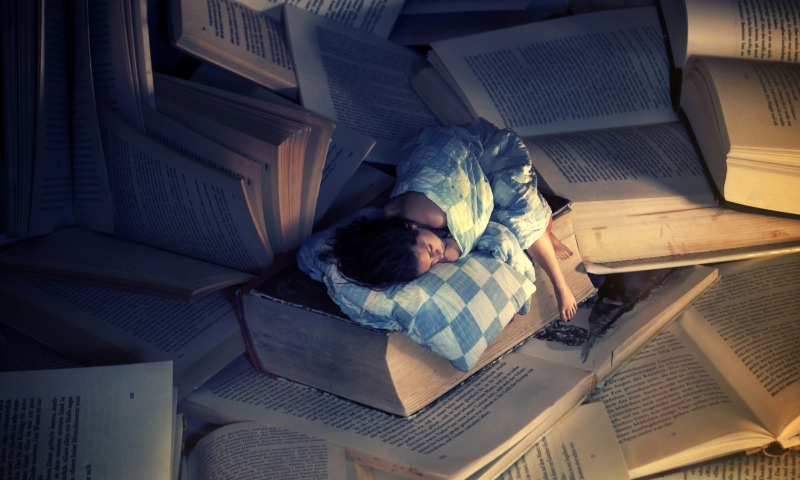 сон на книгах